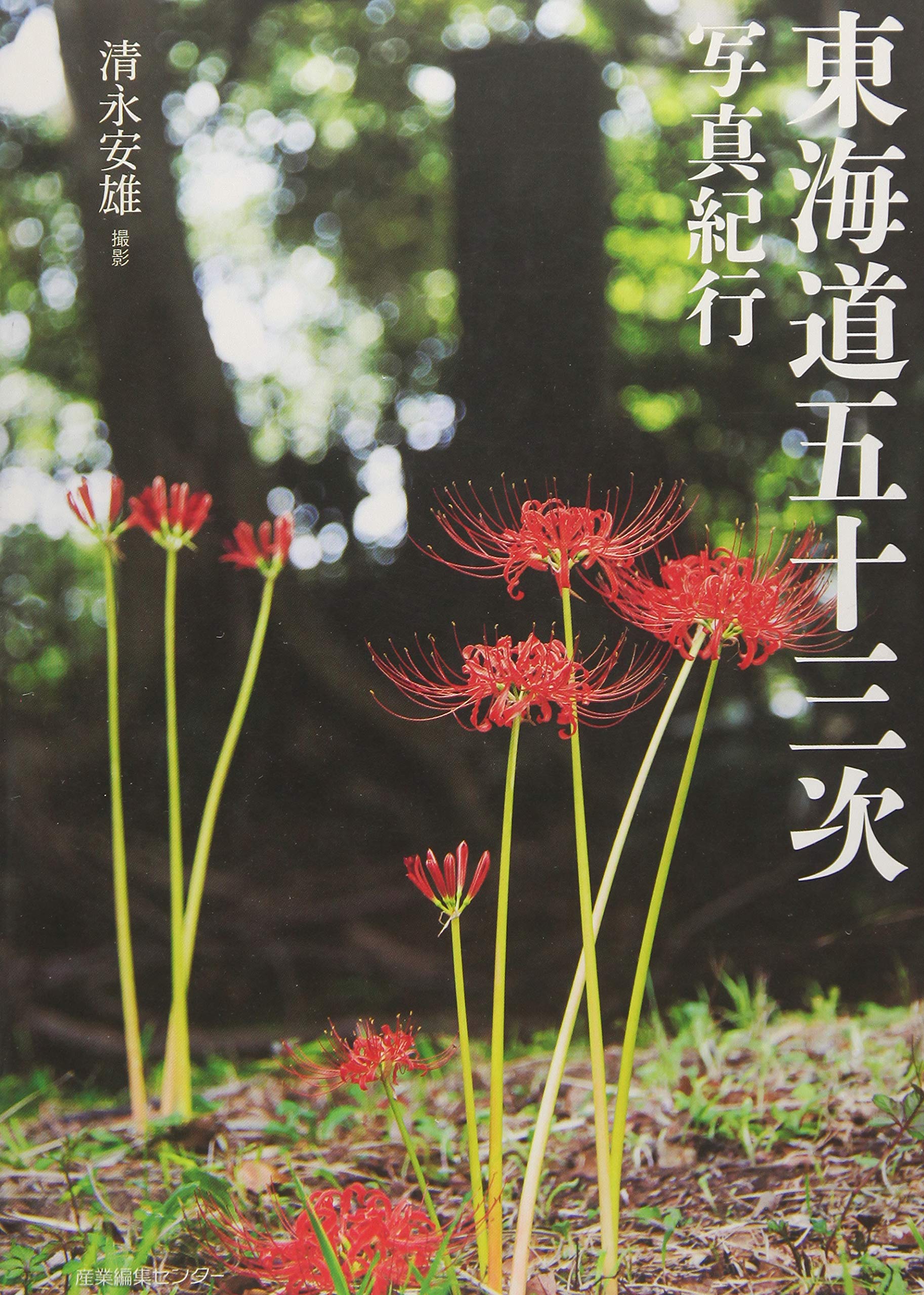 東海道五十三次写真紀行 | 産業編集センター, 清永 安雄 |本 | 通販